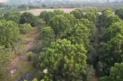 ¡Ocasión única en Huaral! terreno de 80,000 m² listo para invertir
